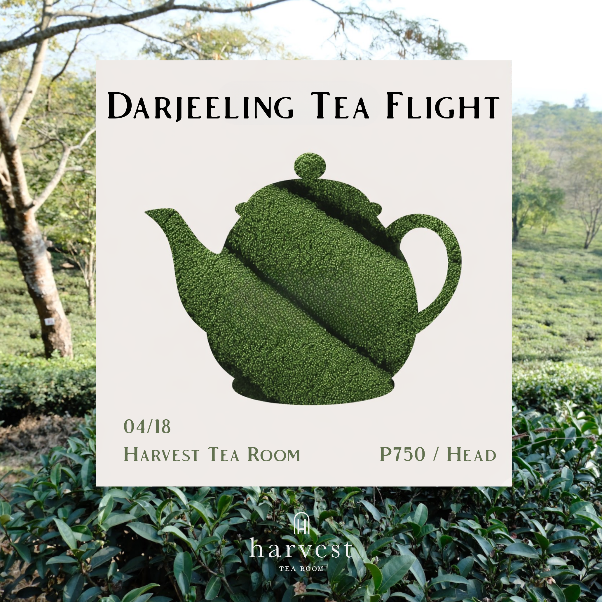 Darjeeling Tea Flight | April 18