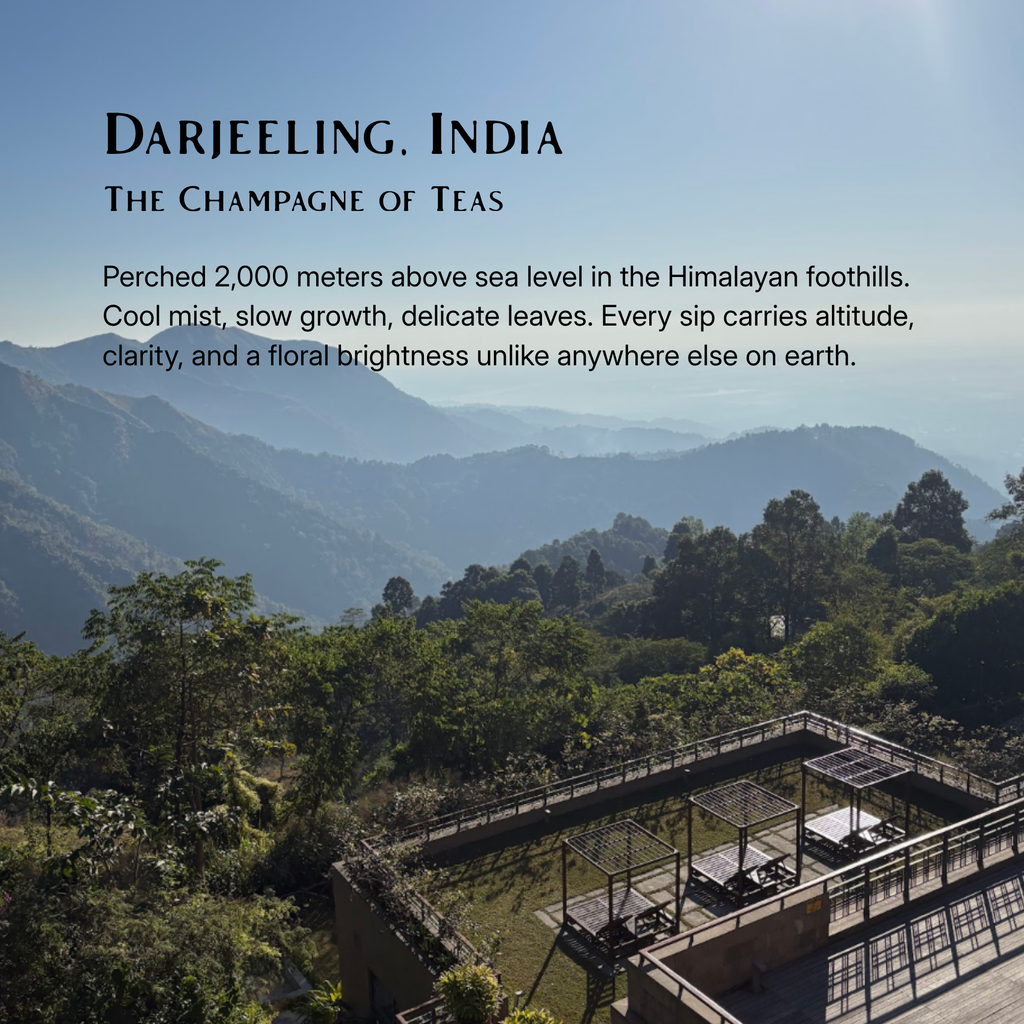 Darjeeling Tea Flight | April 18