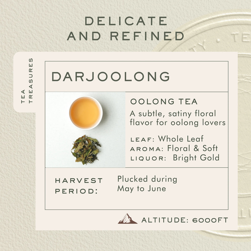 Makaibari Darjoolong Oolong Tea | 100g Tin Caddy | Loose Tea Packed