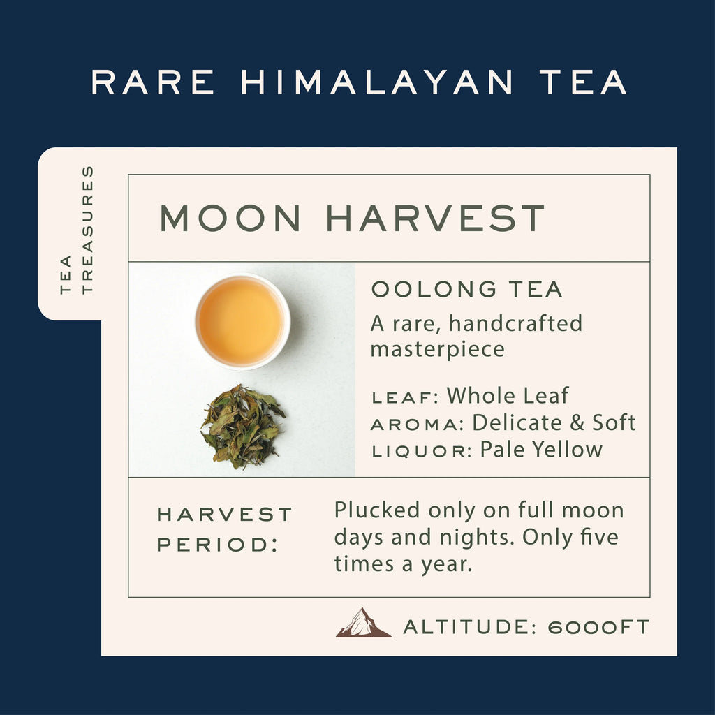 Makaibari Silver Tips Imperial | 50g Tin Caddy | Full Moon Oolong Tea