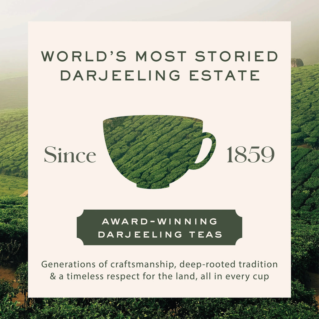 Makaibari Silver Tips Imperial | 50g Tin Caddy | Full Moon Oolong Tea