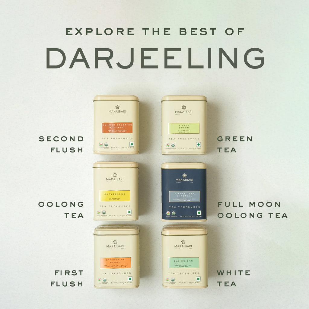 Makaibari Darjoolong Oolong Tea | 100g Tin Caddy | Loose Tea Packed