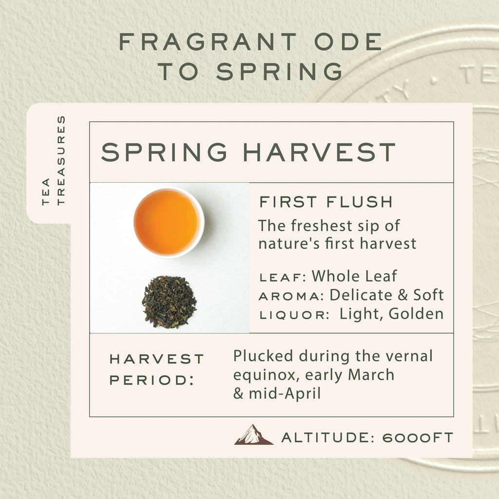 Springtime Bloom | 100g Tin Caddy | Loose Leaf Pack
